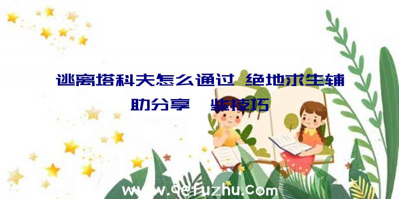逃离塔科夫怎么通过